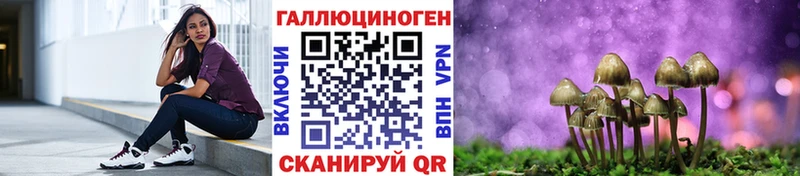 Галлюциногенные грибы Cubensis  Сальск 
