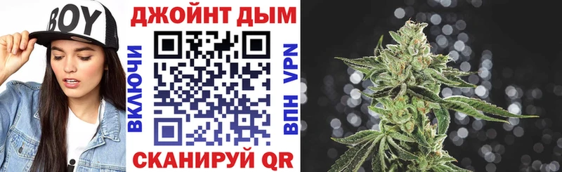 omg ССЫЛКА  купить наркотик  Сальск  Шишки марихуана план 